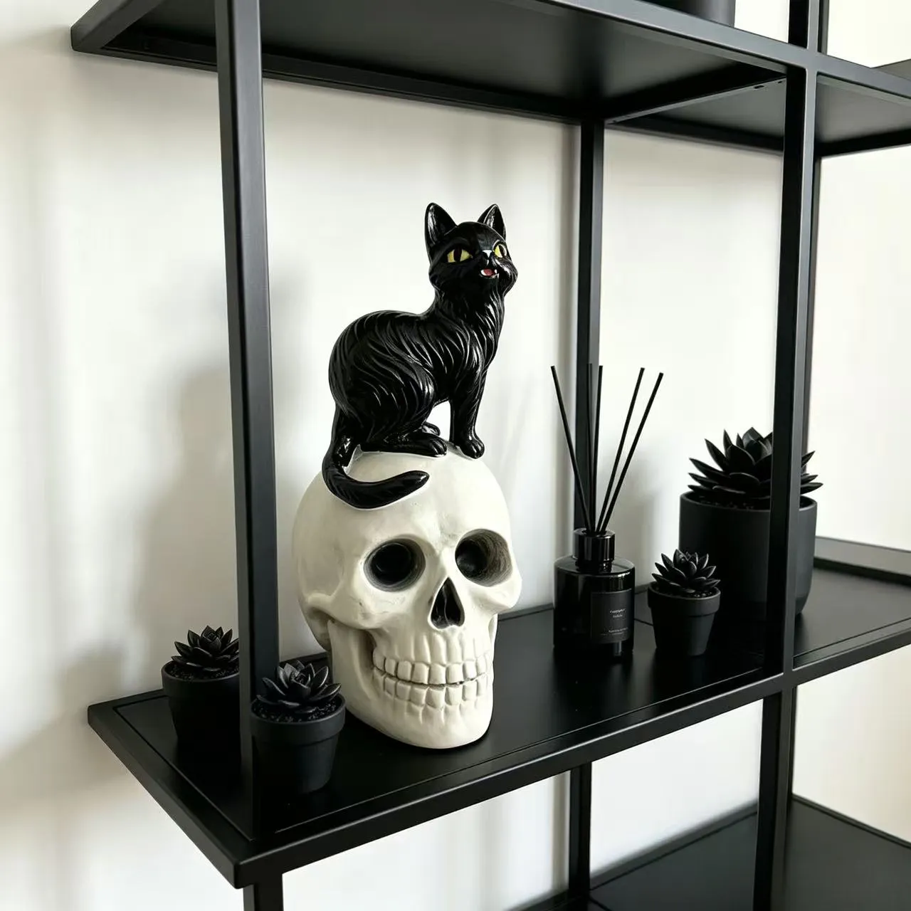 Black Cat and Skull
